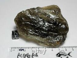 171.7 grams, 858.5 cts Libyan Desert Glass Tektite Meteorite Impact Specimen