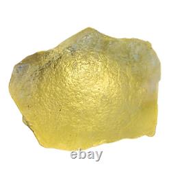 195.2g LIBYAN DESERT GLASS Crystal Gold Tektite Meteorite Impact TE08