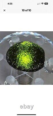 30.4g Green GEM MOLDAVITE Meteorite Impact Glass Czech