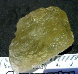 312.5 carat 62.5 grams Libyan Desert Glass Tektite Meteorite Impact Specimen COA