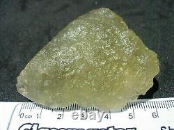 312.5 carat 62.5 grams Libyan Desert Glass Tektite Meteorite Impact Specimen COA