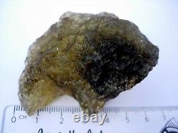 353.5 carats = 70.7 grams GREEN Libyan Desert Glass from Meteorite Impact withCOA