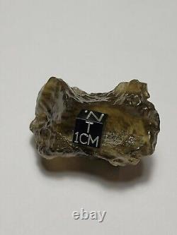 40.6 grams, 203 cts Libyan Desert Glass Tektite Meteorite Impact Specimen