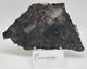 Alamo Meteorite Impact Breccia From Nevada Polished On One Side 412.9g