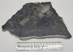 Alamo meteorite Impact Breccia from Nevada Polished on one side 412.9g