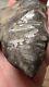 Complete Pallasite Meteorite Museum Quality Unreported Us Impact Fragment