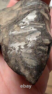 Complete Pallasite Meteorite Museum Quality Unreported US Impact Fragment