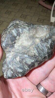 Complete Pallasite Meteorite Museum Quality Unreported US Impact Fragment