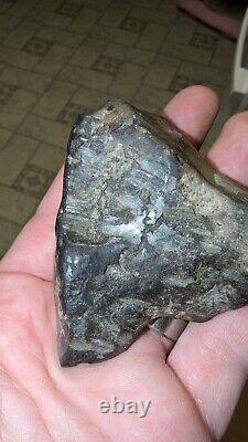 Complete Pallasite Meteorite Museum Quality Unreported US Impact Fragment