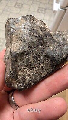 Complete Pallasite Meteorite Museum Quality Unreported US Impact Fragment