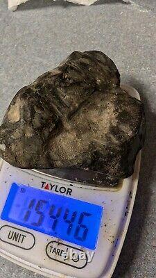 Complete Pallasite Meteorite Museum Quality Unreported US Impact Fragment