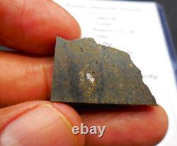 Impact Melt Breccia 5.0 gram CALDWELL METEORITE Found in 1961 in Kansas