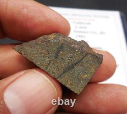 Impact Melt Breccia 5.0 gram CALDWELL METEORITE Found in 1961 in Kansas