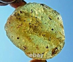 Libyan Desert Glass Meteorite Tektite impact Cantimani(1135 ct)#1 of its kind