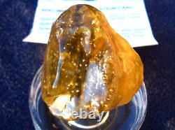 Libyan Desert Glass Meteorite Tektite impact Cintamani(480 ct)one of its Kind