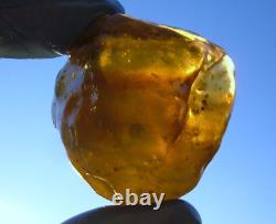 Libyan Desert Glass Meteorite Tektite impact Cintamani(480 ct)one of its Kind