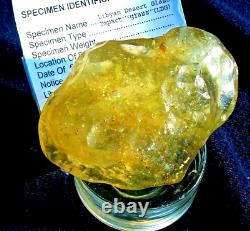 Libyan Desert Glass Meteorite Tektite impact specimen(1010 Ct) Super yellow A+