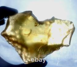 Libyan Desert Glass Meteorite Tektite impact specimen(1225 ct)Flat Soft yellow