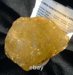 Libyan Desert Glass Meteorite Tektite impact specimen(1675 ct) Super Gem Green