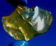 Libyan Desert Glass Meteorite Tektite Impact Specimen(350 Crt)best Gem Aaaa