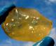 Libyan Desert Glass Meteorite Tektite Impact Specimen(435 Crt)soft Yellow Gem A+