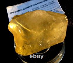 Libyan Desert Glass Meteorite Tektite impact specimen(435 crt)Soft yellow Gem A+