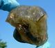 Libyan Desert Glass Meteorite Tektite Impact Specimen(460 Crt)dimples Green Gem