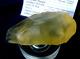 Libyan Desert Glass Meteorite Tektite Impact Specimen(625 Crt)pre Historic Tool