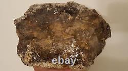 METEORITE IMPACT GLASS 10.566 lb. LECHATELIERITE SIMILAR TO LIBYAN DESERT GLASS