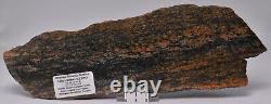 METEORITE IMPACT MELT, Idiwhaa Tonalitic Gneiss, Oldest Rock In the World S587