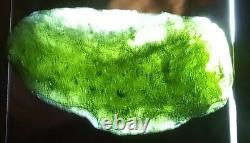 MOLDAVITE Czech Republic Genuine Meteorite Impact Green Tektite 69.5 carats