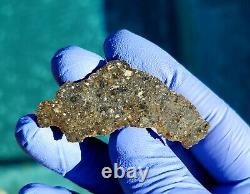 MeteoriteNWA 13788, NEW LUNAR IMPACT MELT BRECCIA8.998 gram end, HIGH METAL