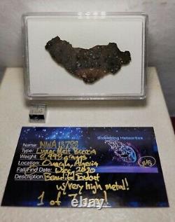 MeteoriteNWA 13788, NEW LUNAR IMPACT MELT BRECCIA8.998 gram end, HIGH METAL