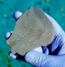 MeteoriteNWA 2085 L IMPACT-MELT BRECCIA40.568 gram slice, EX. Robert Ward