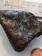 Meteorite Impactite, Iron Suevite. Geothite Fusion Crust, Specimen New Find. Mt