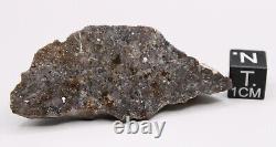 NWA 13788 Meteorite LUNAR Impact melt breccia endcut 11.6g w metal from impactor