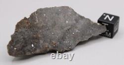 NWA 13788 Meteorite LUNAR Impact melt breccia endcut 11.6g w metal from impactor