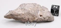 NWA 13788 Meteorite LUNAR Impact melt breccia endcut 11.6g w metal from impactor