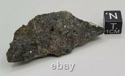 NWA 13788 Meteorite LUNAR Impact melt breccia endcut 11.6g w metal from impactor