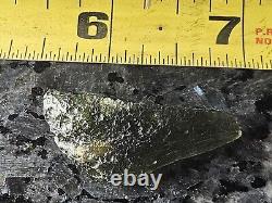 Natural Green Gem Moldavite Meteorite Impact RAW Chakra Healing