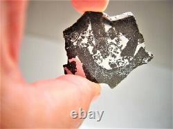 Rare Class! New Fall! Amazing Punggur H7 Impact Melt Breccia Meteorite! 11.9 Gms