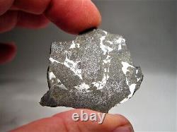 Rare Class! New Fall! Amazing Punggur H7 Impact Melt Breccia Meteorite! 11.9 Gms