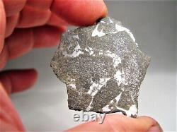 Rare Class! New Fall! Amazing Punggur H7 Impact Melt Breccia Meteorite! 11.9 Gms