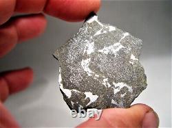 Rare Class! New Fall! Amazing Punggur H7 Impact Melt Breccia Meteorite! 11.9 Gms