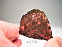 Rare Class! New Fall! Amazing Punggur H7 Impact Melt Breccia Meteorite! 17.1 Gms