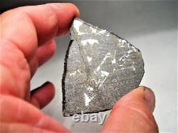 Rare Class! New Fall! Amazing Punggur H7 Impact Melt Breccia Meteorite! 17.1 Gms