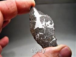 Rare Class! New Fall! Amazing Punggur H7 Impact Melt Breccia Meteorite! 9 Gms