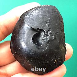 Tektite indochinite space rock impactite meteorite impact stone gems 76 G