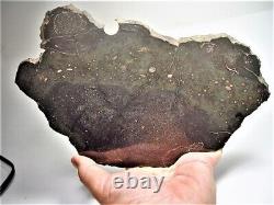 World Class! Huge Full Slice! Beautiful Chico Impact Melt Meteorite 636 Gms