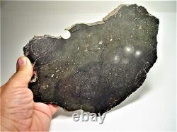 World Class! Huge Full Slice! Beautiful Chico Impact Melt Meteorite 636 Gms